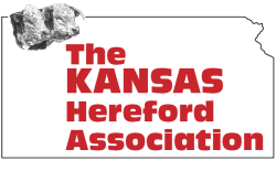 KHA logo for website